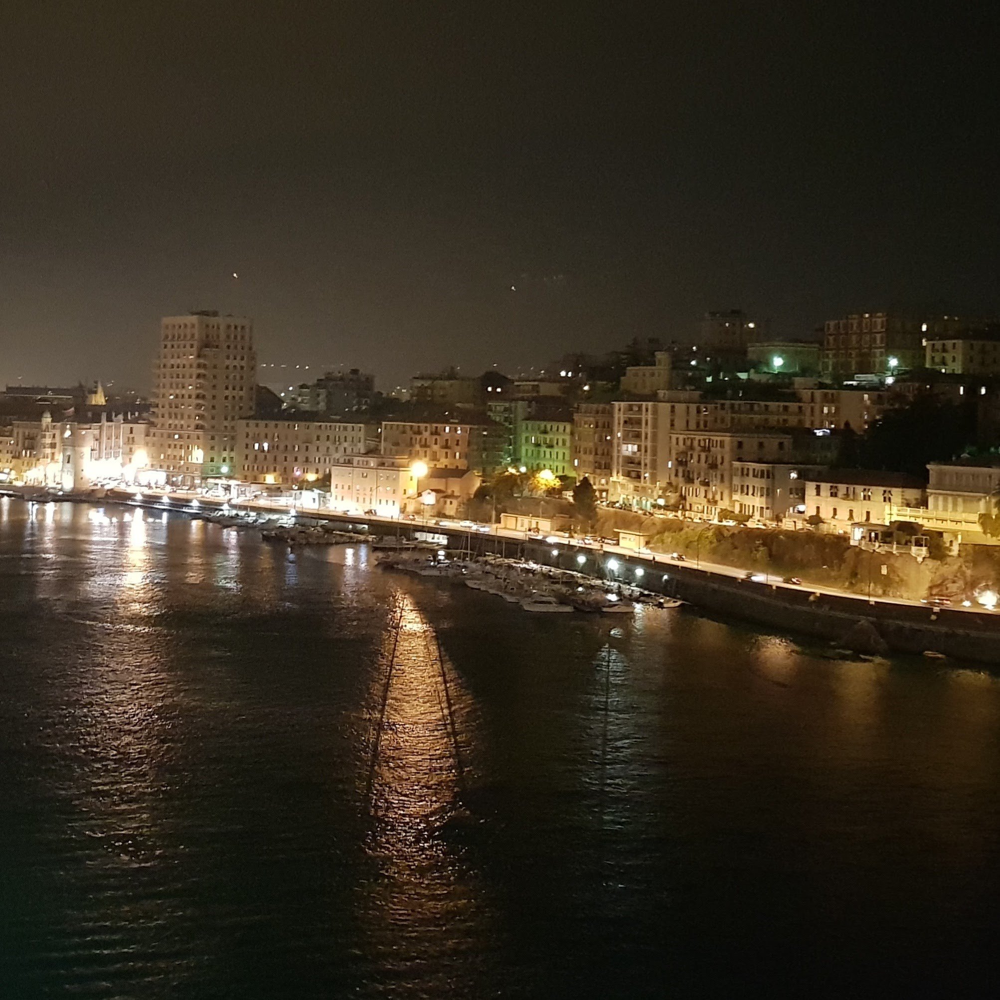 savona-palacrociere