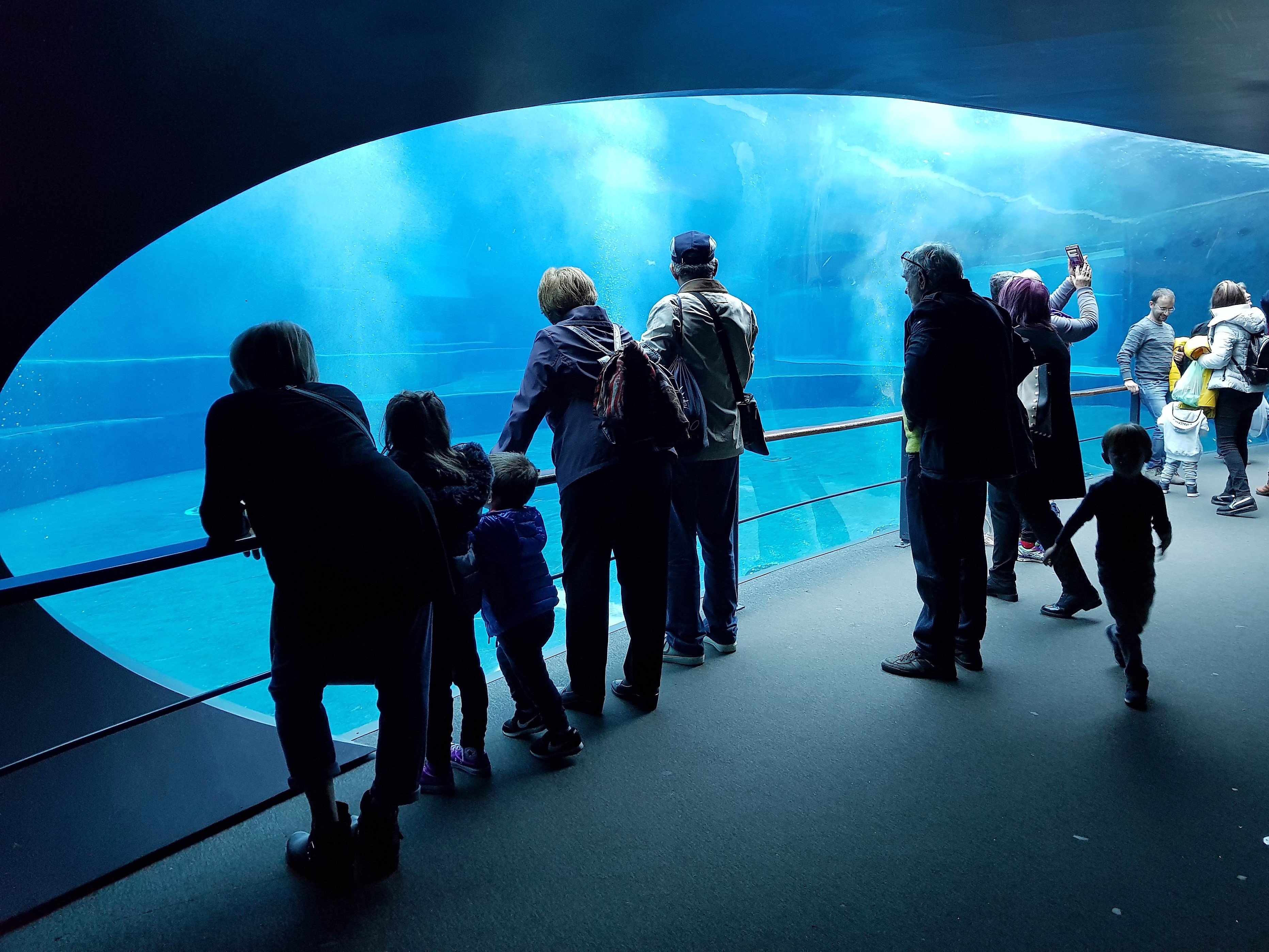 acquario-di-genova