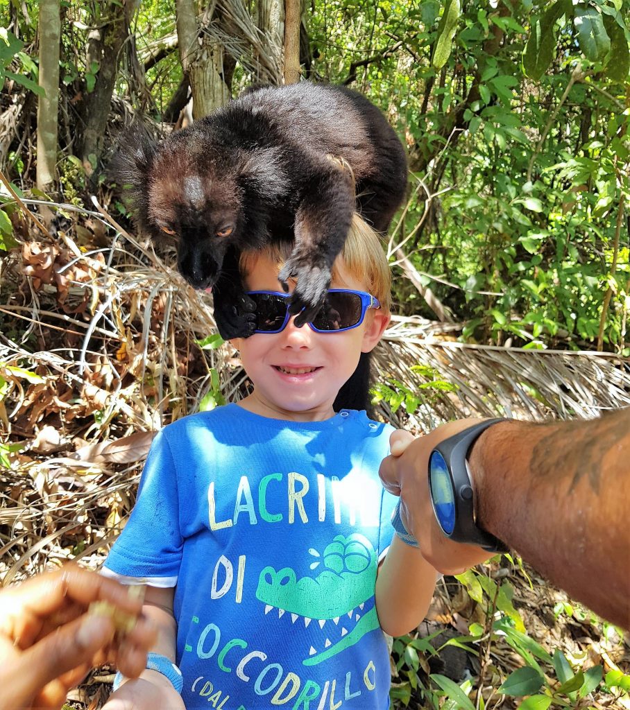 Nosy-komba-nosy-be-madagascar
